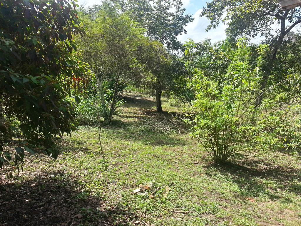 Xultun Farm Guest House San Ignacio Exterior photo