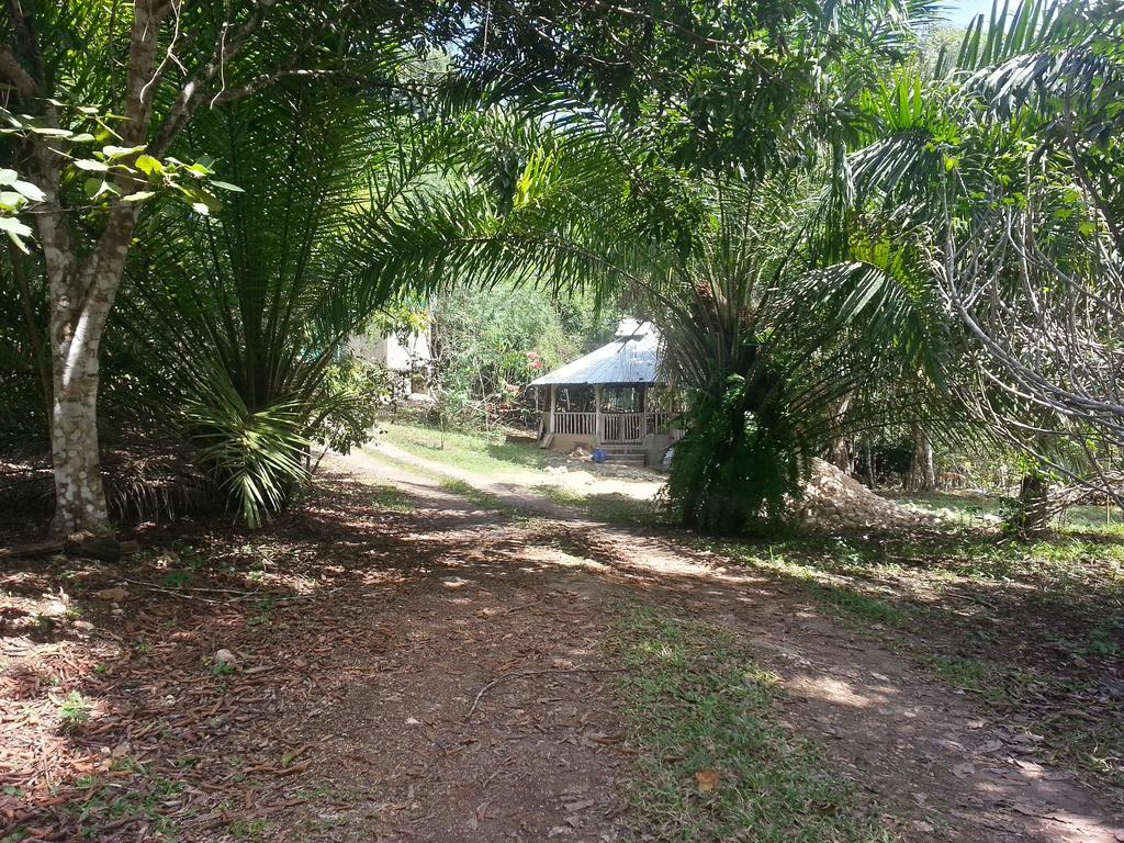 Xultun Farm Guest House San Ignacio Exterior photo